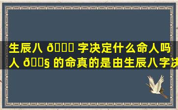 生辰八 🍀 字决定什么命人吗（人 🐧 的命真的是由生辰八字决定的吗）